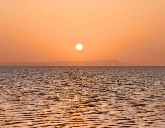 Dholavira Escapade: Top Places to Stay in Dholavira