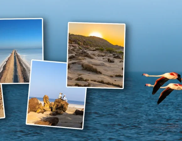 National Tourism Day Special: Dholavira in January — Where India’s Oldest Civilization Meets Its Best Travel Season