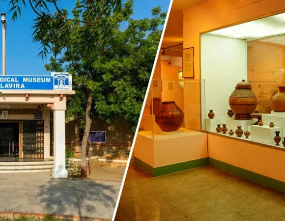 The Ultimate Guide to Educational Trips for Students to Dholavira in Gujarat
