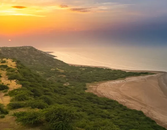 Khadir Bet Island: A Complete Guide to Gujarat’s Hidden Gem
