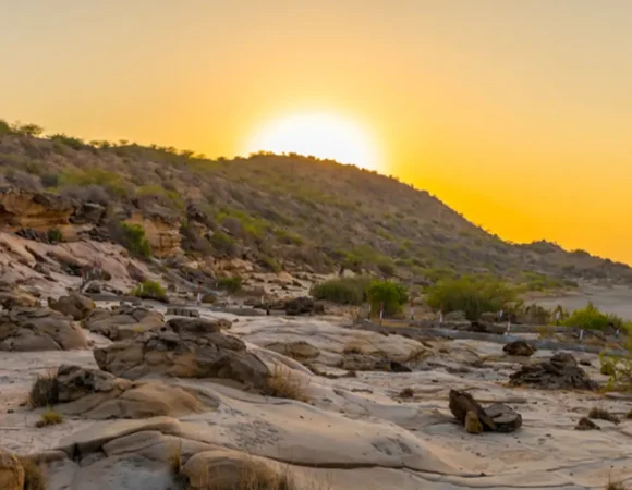 Is Dholavira Worth Visiting? A Guide for First-Time Travellers