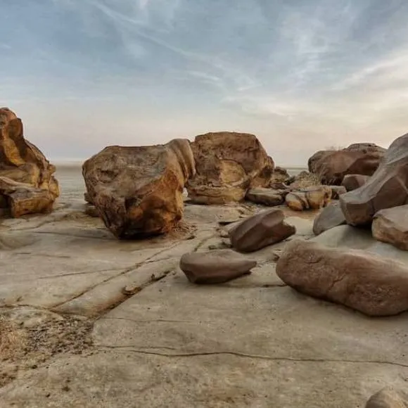 Wood Fossil Park Dholavira